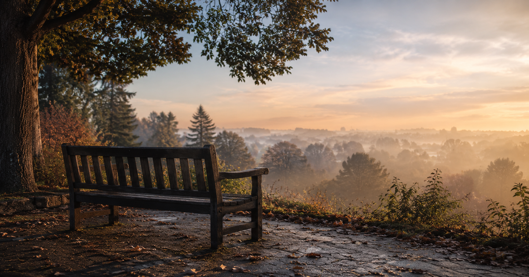 Empty park bench at dawn in soft morning mist